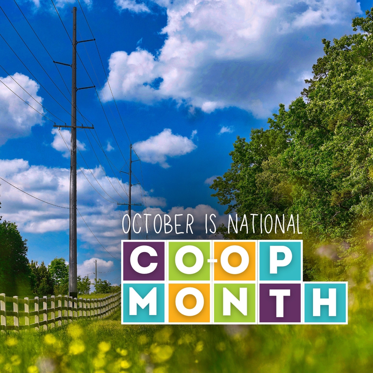 Co-ops Power Communities with Purpose: October is National Co-op Month