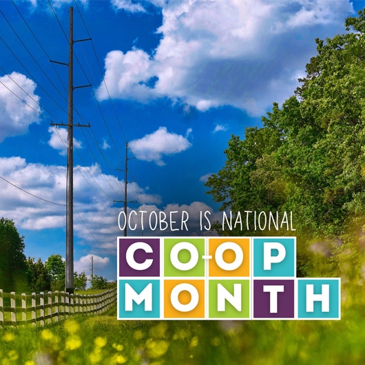 Co-ops Power Communities with Purpose: October is National Co-op Month